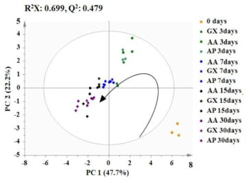 초산균 균주에 따른 토마토의 PCA score plot 변화 * AA: A. aceti , AP: A. pasterinus , GX: G. xylinus