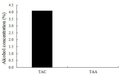 알코올 발효물과 초산 발효물의 알코올 함량 TAC: 토마토 알코올 발효, TAA: 토마토 초산발효