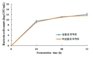 토마토 유산균 발효에 따른 생균수