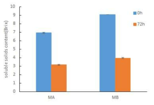 메론 상품과와 비상품과의 유산균 발효 전 후 Brix의 변화 MA:메론 상품과, MB:메론 비상품과