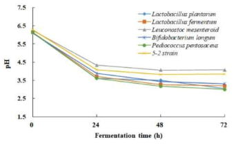 발효 균주에 따른 메론의 pH 변화