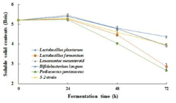 발효 균주에 따른 메론의 가용성 고형분 함량 변화