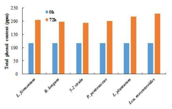 발효 균주를 달리한 메론의 총페놀 함량