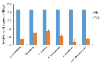 발효 균주에 따른 토마토의 가용성 고형분(Brix) 함량 변화