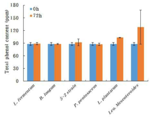 발효 균주에 따른 토마토의 total phenol 함량