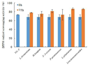 발효 균주에 따른 토마토의 DPPH radical 소거능