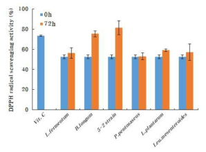 발효 균주에 따른 메론의 DPPH radical 소거활성