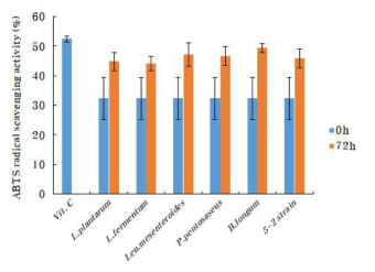 발효 균주에 따른 메론의 ABTS radical 소거활성