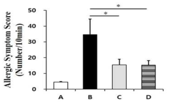 톳 추출물의 알레르기 증상 점수 감소 효과