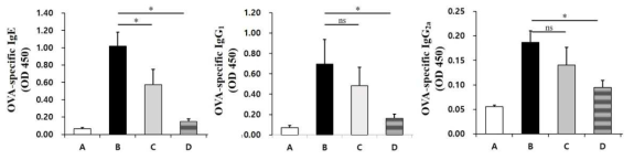 혈청 내 OVA-specific IgE, IgG1, IgG2a 농도