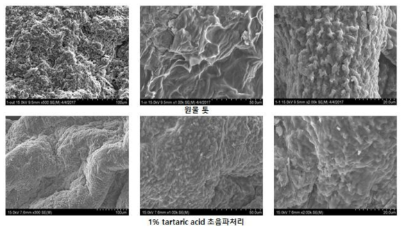 원물 톳과 1% tartaric acid 초음파 처리 했을 때의 톳 표면