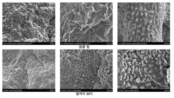 원물 톳과 80℃에서 열처리 했을 때의 톳 표면