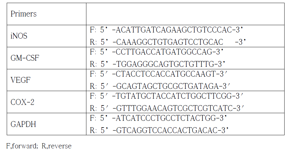 mRNA primer