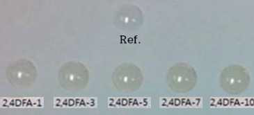 2,4DFA 조합의 제조된 하이드로젤 렌즈