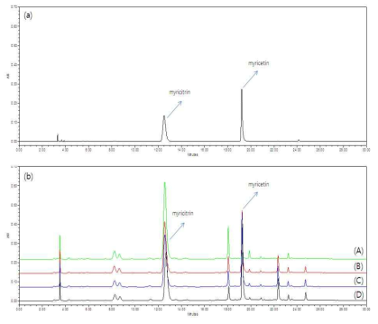표준물질(a)과 고욤나무잎 naringinase 처리 추출물(b)의 HPLC 크로마토그램 ; 0 분(A), 30 분(B), 60 분(C), 90 분(D)
