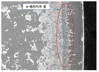 STD61합금강의 침붕표면처리 SEM (α-페라이트 층이 형성 됨)