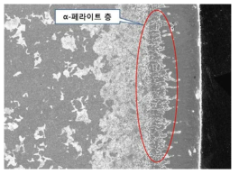 공구강 침붕 처리 (α-페라이트 층이 형성 됨)