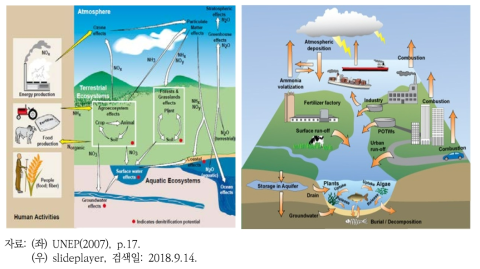 질소순환과 인간의 활동