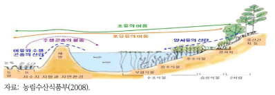 지형 변화에 따른 저수지 주변 식물의 분포