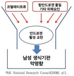 프탈레이트의 공통악영향