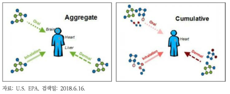 U.S. EPA의 Aggregate exposure와 Cumulative exposure 개념도