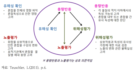 EPA의 혼합노출을 고려한 누적위해성평가 과정