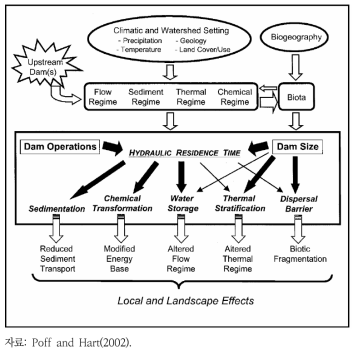 댐(제당) 건설 및 저수역 조성에 따른 하천의 물리화학적 특성 변화와 생태계 영향에 대한 종합적인 개념도