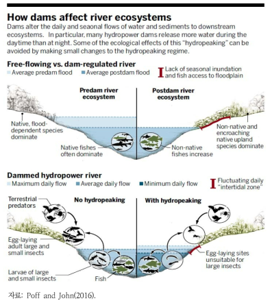 댐건설의 하천 생태계에 대한 영향