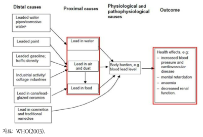 납의 건강영향 발생 경로