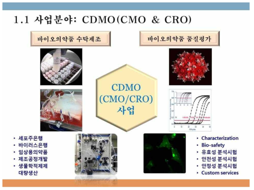 ㈜씨드모젠 CMO & CRO(CDMO) 사업 분야