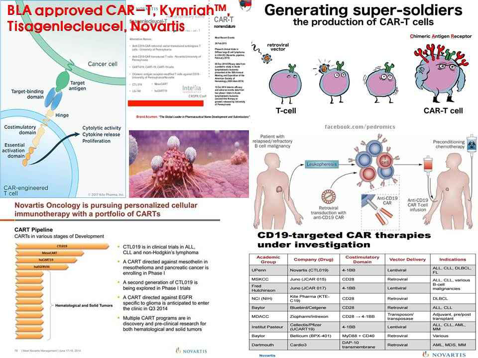 미국 FDA가 2017년 8월 30일 BLA approval 품목허가 CAR-T