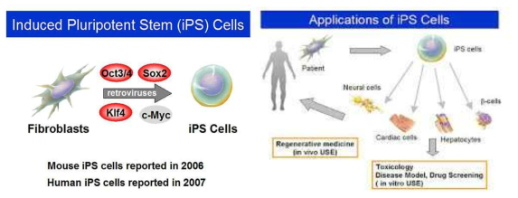 유전자도입을 통한 iPS 줄기세포 및 유전자치료 기술 및 응용분야