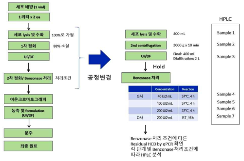 아데노바이러스 정제공정 개발 전략 (1안)에 따라 여러 benzonase 처리조건으로 정제공정을 개발 계획