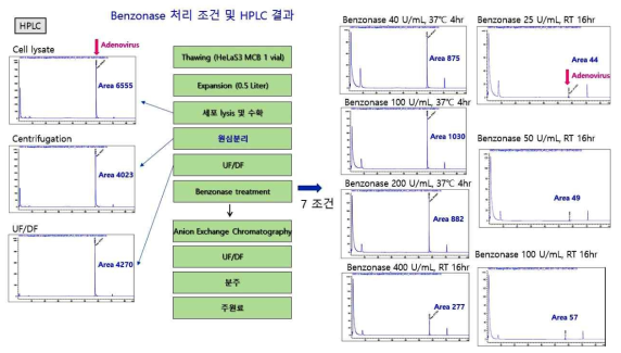 아데노바이러스 정제공정 개발 전략 (2안)에 따라 여러 benzonase 처리조건으로 정제공정을 개발하여 HPLC 분석을 수행한 결과