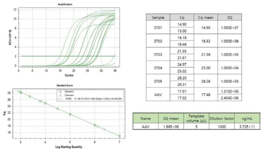 AAV titration Kit를 이용한 아데노부속바이러스의 농도