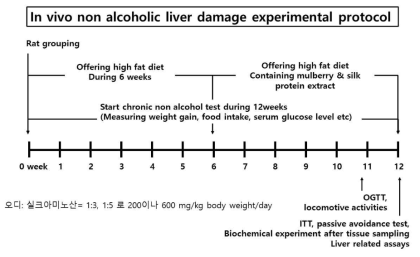 Experimental design of chronic non-alcohol steatosis