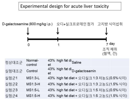 Experimental design of acute non-alcohol steatosis and groups