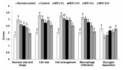 Scores of the liver morphometry