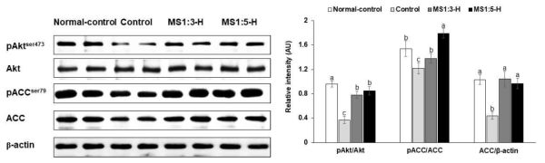 Hepatic insulin signaling