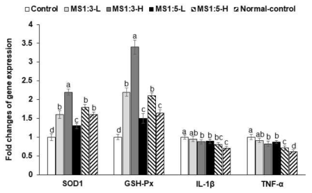 Folds changes of gene expression related to oxidative stress and inflammation compared to the control