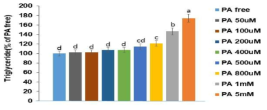 Triglyceride contents of HepG2 cell with 50 uM- 5mM palmitate