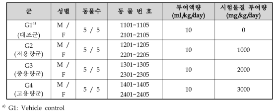 28일 반복경구투여 DRF독성시험 실험군 및 투여량