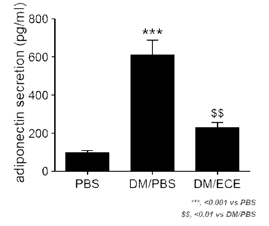 ECE 처리 지방세포의 adiponectin 레벨