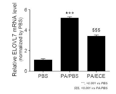 ECE 처리를 통한 대식세포 조절로 인한 ELOVL7 레벨