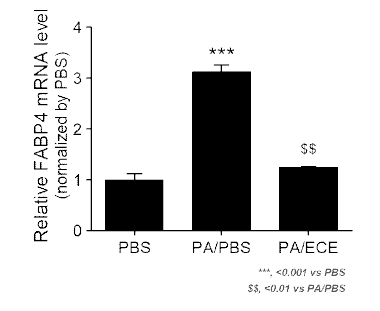 ECE 처리를 통한 대식세포 조절로 인한 FABP4 레벨