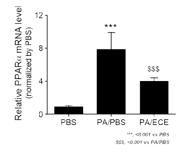 ECE 처리를 통한 대식세포 조절로 인한 PPARα 레벨