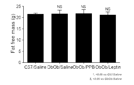 PPB 투여 Ob/Ob 동물에서의 지방외 무게