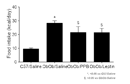 PPB 투여 Ob/Ob 동물에서의 식이량