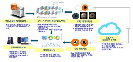 AI 기반 시기능 강화 기술개발