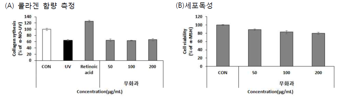 Effect of Ficus carica L. 70% EtOH extracts on collagen content(A), Cell viability(B)